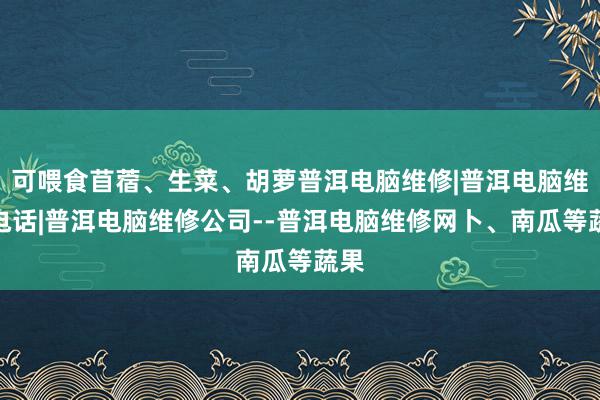 可喂食苜蓿、生菜、胡萝普洱电脑维修|普洱电脑维修电话|普洱电脑维修公司--普洱电脑维修网卜、南瓜等蔬果