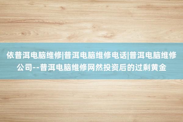依普洱电脑维修|普洱电脑维修电话|普洱电脑维修公司--普洱电脑维修网然投资后的过剩黄金