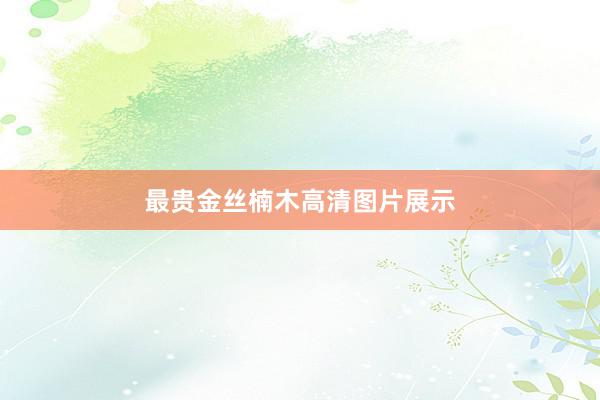 最贵金丝楠木高清图片展示