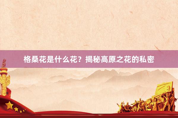 格桑花是什么花？揭秘高原之花的私密