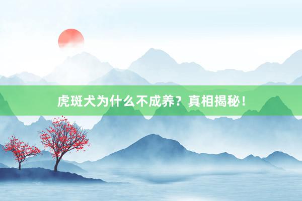 虎斑犬为什么不成养？真相揭秘！