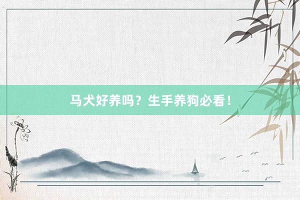 马犬好养吗？生手养狗必看！