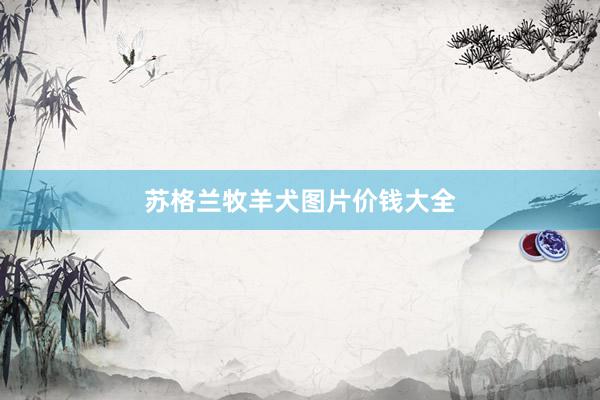 苏格兰牧羊犬图片价钱大全